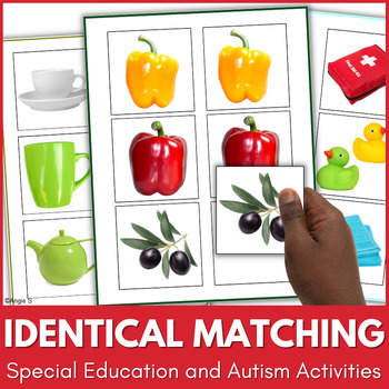 Preview of Matching Identical Pictures Activities Autism Special Education Speech Therapy