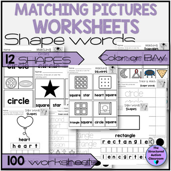 Preview of Matching Shape Words Worksheets Environmental and 2D for Special Education