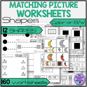 Preview of Matching Shapes Worksheets Environmental and 2D for Special Education