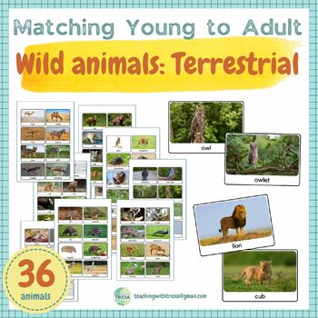 Matching Young/Baby to Adult: 36 Wild Animals (Terrestrial), 72 Sorting  Cards