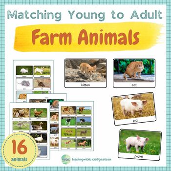 Animal Adult Baby Teaching Resources | TPT
