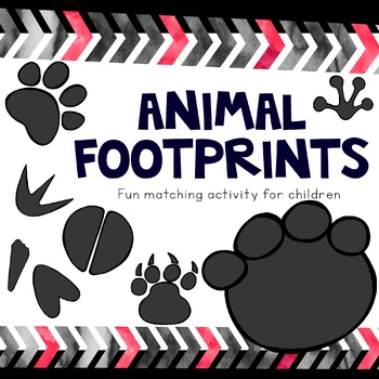 Preview of Matching animal footprints to the animal photograph