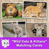 Matching cards - "Wild Cats & Kittens"