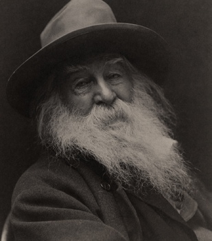 Preview of Materials for use with the America poet Walt Whitman