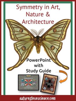 Preview of Math Art: Symmetry in Nature PowerPoint Thematic Unit Plan | Distance Learning
