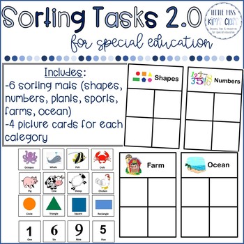 Sorting Activity/ Task Box for Special Education by Little Miss Kim's Class