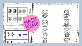 Preview of Math Concept worksheets and lesson with Hands on Activitys: Same