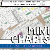 Math & ELA Mini Charts Bundle | Set 1 (Mini Anchor Charts)