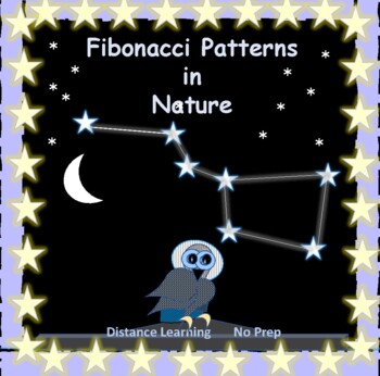 Preview of Math Lab Fibonacci Sequence Patterns in Nature