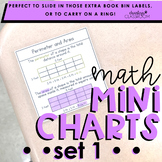 Math Mini Charts | Set 1 (Mini Anchor Charts)