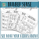 Math Number Sense Packet/Assessment/Counting Sequence/How 