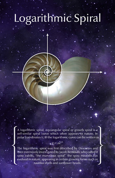 Preview of Math Poster - Logarithmic Spiral