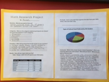 research project in mathematics
