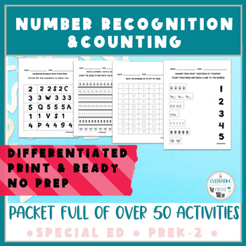 Preview of Math Skills | Home Learning Packet | Numbers & Counting | ESY | End of Year
