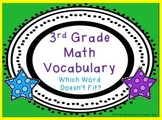 Math Vocabulary - Which Word Doesn't Belong?