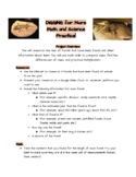 Math and Science Enrichment Project (Fossils, Operations, 