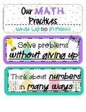 Math and Science Practices Pineapple Theme