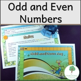 Maths odd and Even Number Tag Game