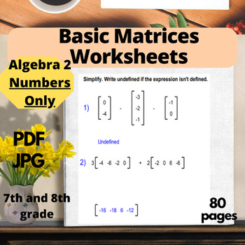 Preview of Matrices Worksheet, problems with basic matrix operations Algebra 2