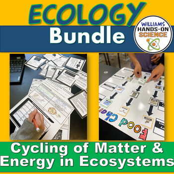 Preview of Matter Cycling Energy Flow in Ecosystems Unit Bundle Activities Worksheets NGSS
