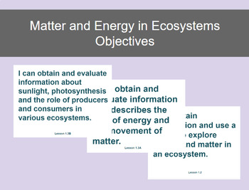 Preview of Matter and Energy in Ecosystems Objectives Middle School Science