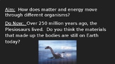 Matter and Energy in Organisms Lesson