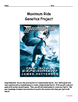 maximum ride movie poster