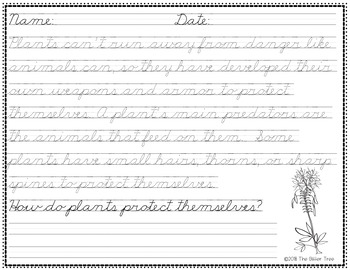 May Cursive Practice: Cinco de Mayo, Mother's Day, and Plants | TpT