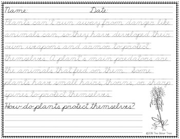 May Cursive Practice: Cinco De Mayo, Mother's Day, And Plants 