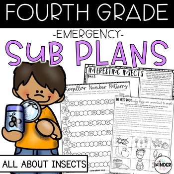 Preview of May Fourth Grade Emergency Sub Plans | Insects | Spring Sub Plans for 4th