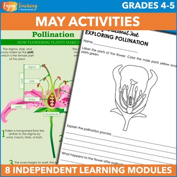 Preview of May Independent Work Packet - Spring Early or Fast Finishers, Sub Plans