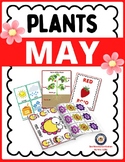 May Lesson THE PLANTS Theme Worksheets Preschool & Daycare