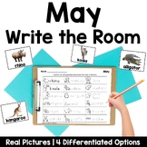 May Write the Room | Real Pictures