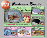 Mealworm Bundle - Animated Step-by-Steps® - PCS