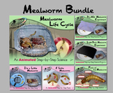 Mealworm Bundle - Animated Step-by-Steps® - Regular