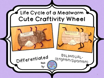Preview of Mealworm (Darkling Beetle) Life Cycle Wheel Craftivity {BILINGUAL - CUTE!}