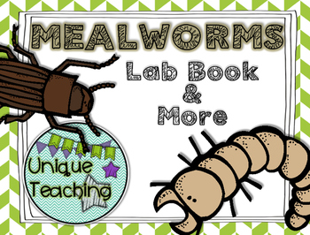Preview of Mealworm Activity Pack