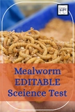 Life Cycle of a Mealworm EDITABLE Science Test for Grades 4-8