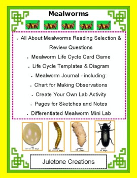 Box of 10 American Educational Microslide Meal Worm Lesson Plan Set