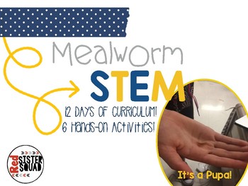 Preview of Mealworm STEM unit