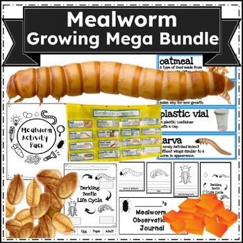 Mealworms 2nd grade-FOSS Science Pack $25 by ATravelingMaestra