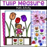 Tulip Measure Math Activity & Tulip Life Cycle - Spring No