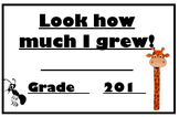 Measurement Project for Grades 3 4 5 6 Measuring Height & 