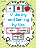 Measurement - Size Sorting and Ordering with Intro to Capacity