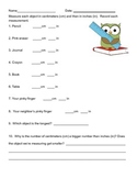 Measurement Worksheet (Inches and centimeters)