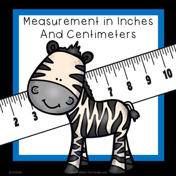 Preview of Measure Inches and Centimeters Worksheets