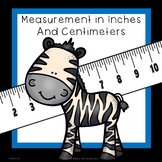 Measure Inches and Centimeters Worksheets