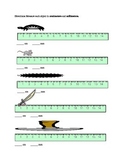 Measuring In Centimeters Worksheets | Teachers Pay Teachers