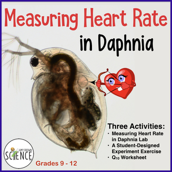 daphnia heart rate experiment temperature