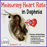 Measuring Heart Rate in Daphnia Lab